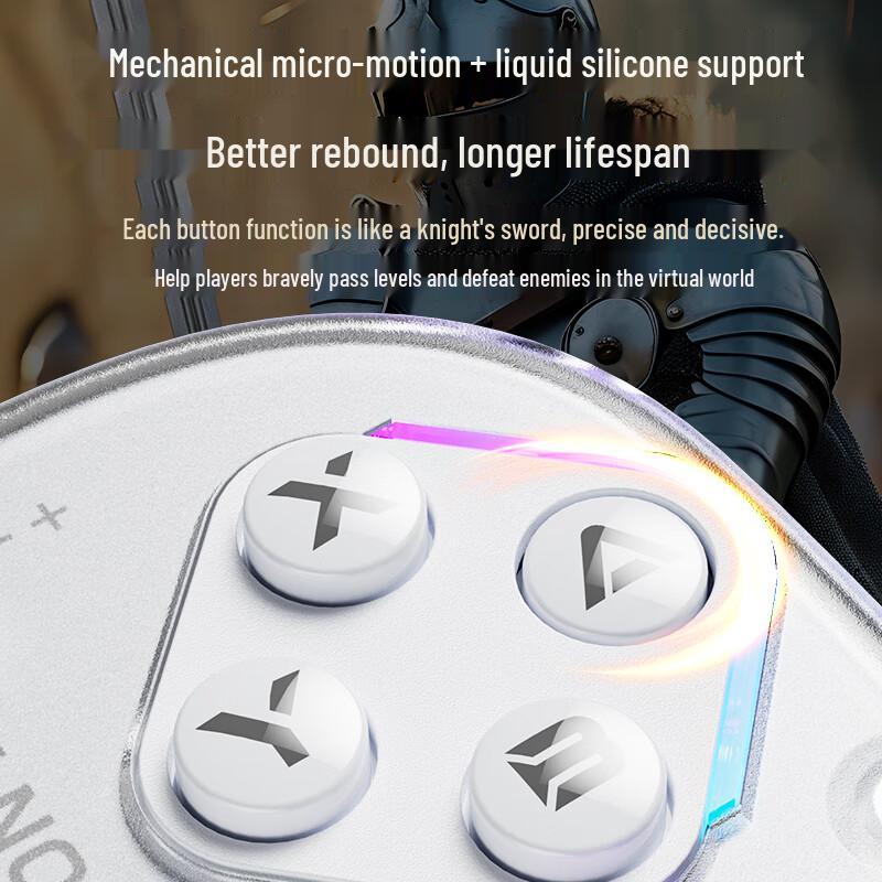 Aolion J20 Pro Knight Switch Joy-Con Split Controller