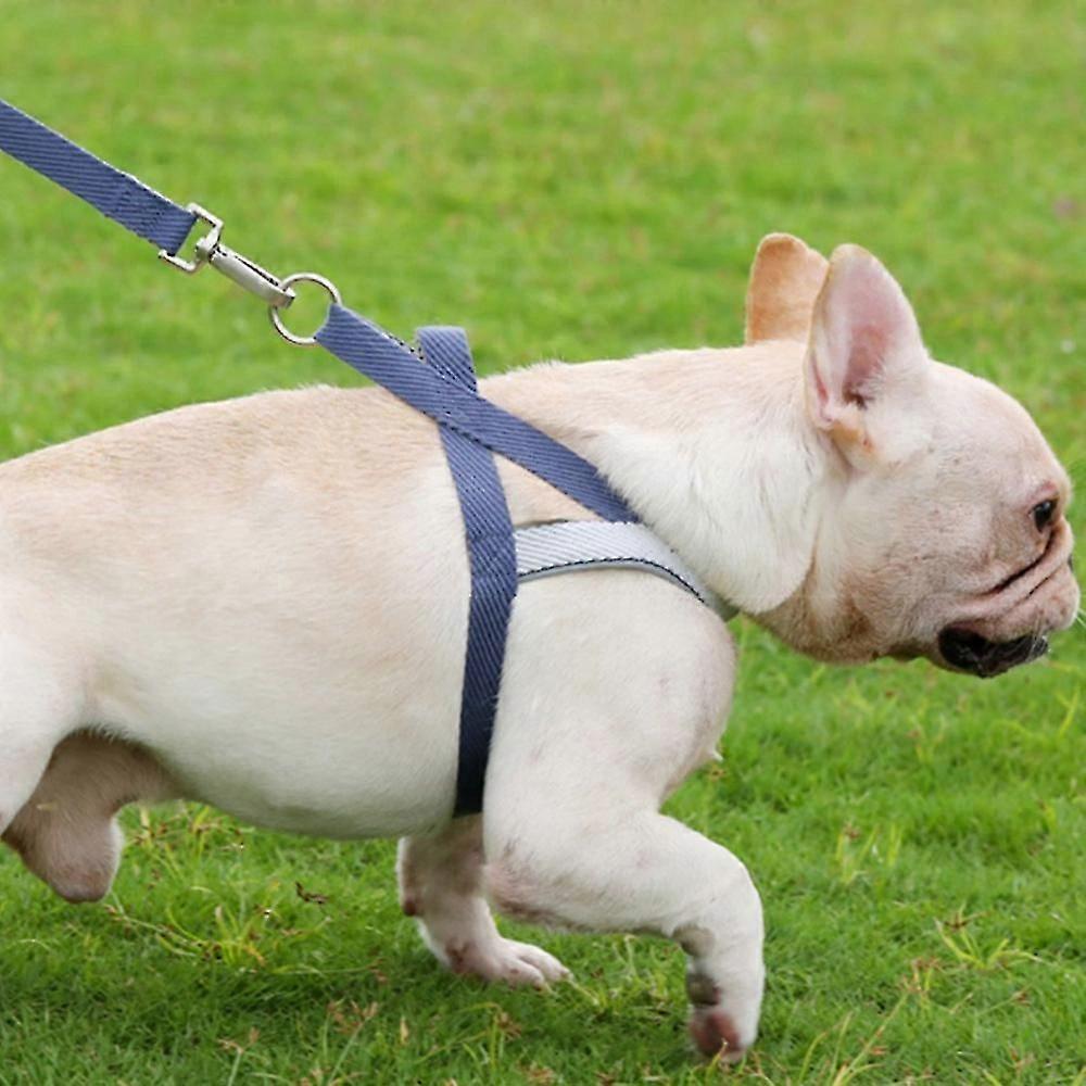 Dog Harness,quick Fit To Adjust Dog Harness,easy For Training Walking