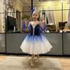 Children's Ballet Skirt Girl's Dance Skirt Sequin Tight Ballet Skirt Ballet Performer Collective Performance Clothing