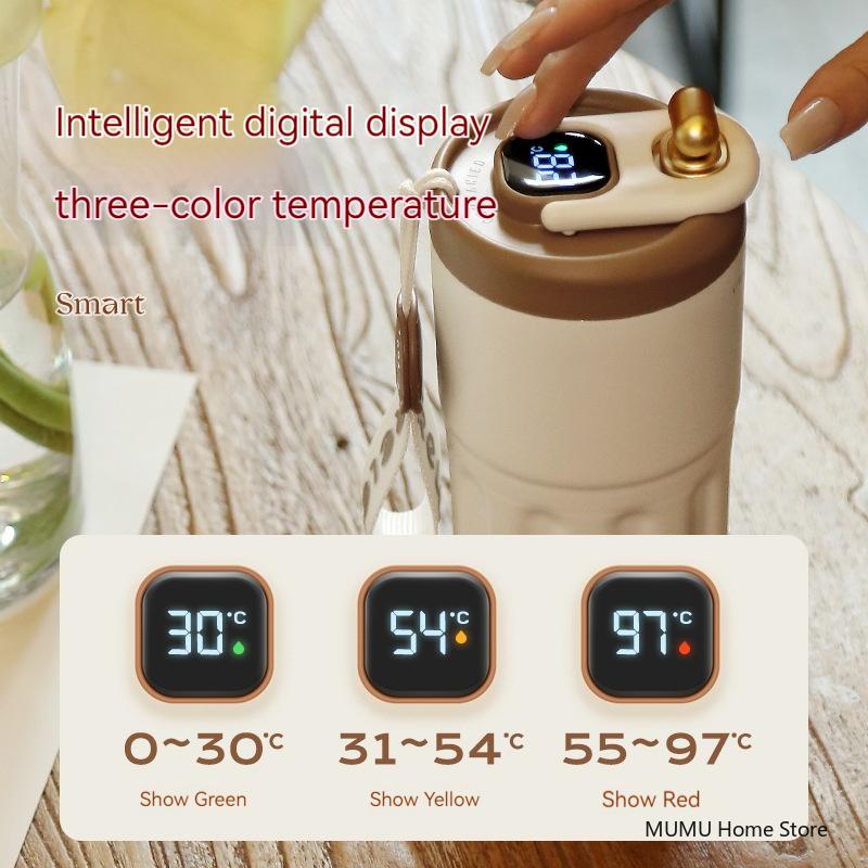 LED-Temperaturanzeige, 450 ml, isolierte Wasserflasche aus Edelstahl, Thermosflasche, Becher, tragbarer Vakuumkolben, Reisebecher