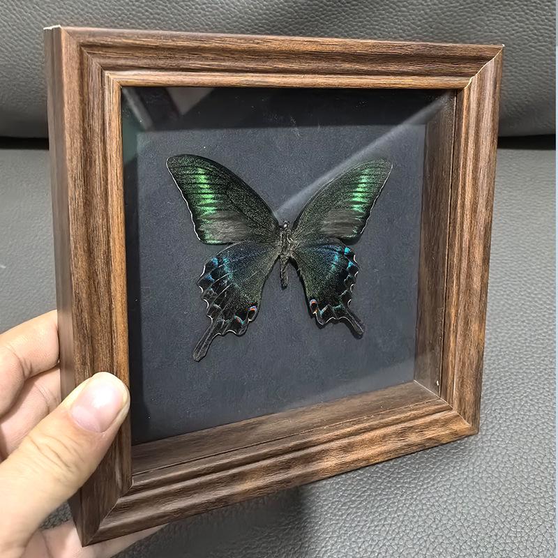 European & American Style Retro Real Butterfly Specimen Display: Glass Photo Frame for Tabletop Decor with Small Pets, Cats, & Reptiles