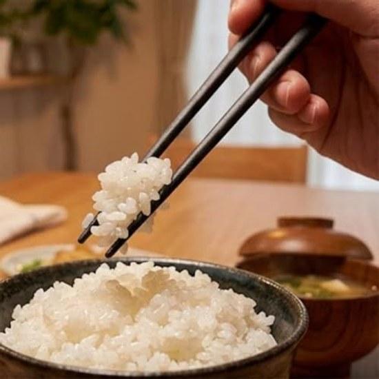 Nagaoka Tsubame Sanjo Chopsticks 23cm Black Tapered PPS Resin Dishwasher Safe BPA Free Made Japan