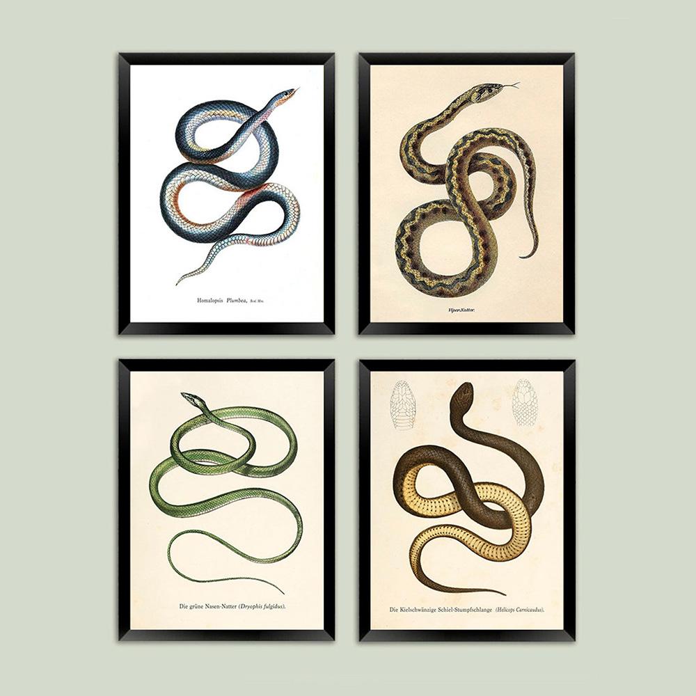 Schlangenmuster Vintage Reptilienkunst Malerei Bild Galerie Wandkunst Druck Modern Abstraktes Poster Heimkunst Wanddekor
