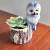 Playful Owl Planter Decorative Resin Flower Holder For Modern Home And Garden Decor