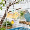Bird Toys Fun Bite-Resistant Pet Chewing Supplies Colorful Parakeet Toys Wheel For Macaws Lovebird Conures Cockatiels Finches