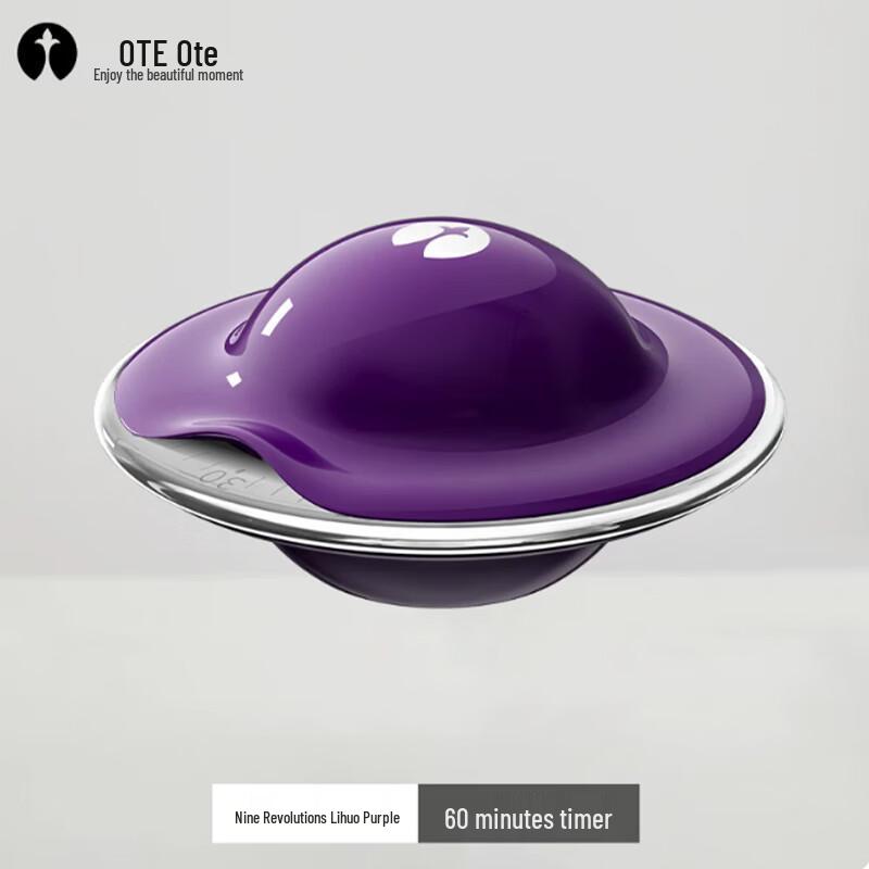 OTE Disc Küchentimer