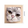 Handmade DIY Felt Toy Non-Finished Needle Felting Kits Easy for Beginners