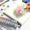 Winsor & Newton Cotman Artist Watercolor Set with Full/Half Pans In Portable Metal Box
