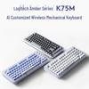 Logitech ALTO KEYS K75M Wireless Customizable Mechanical Keyboard