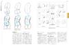 Artistic Anatomy for Artists