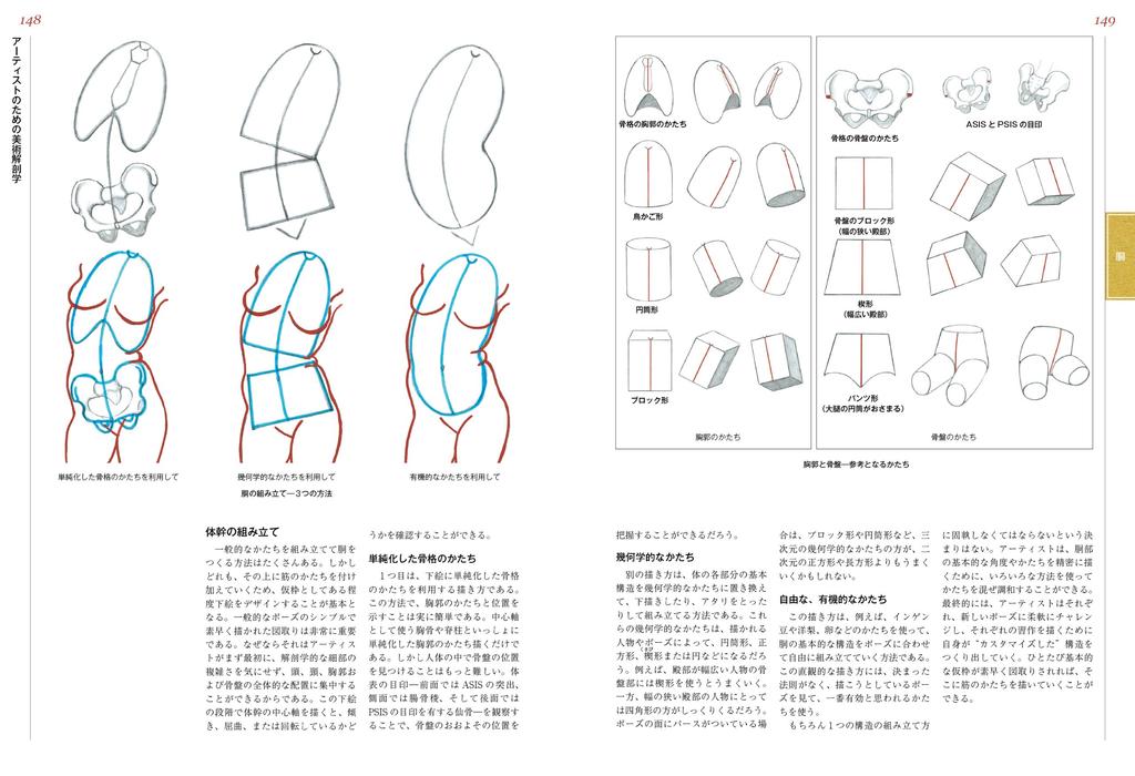 Artistic Anatomy for Artists