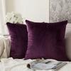 Velvet Solid Pillow Cover Removable Washable Sofa Cushion Case Soft Cozy Home Decor Elegant Comfortable Accent