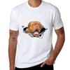 Bordeaux Dogue De Bordeaux TShirt Plus Size Lightweight Tee Shirt TShirt