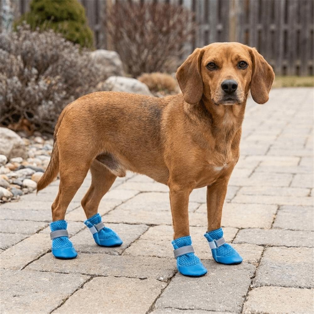4PCS/SET Wear-Resistant Dog Sneakers Breathable Pet Footwear Dog Boots Dog Foot Covers  Training