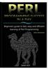 The Perl Programming Success In Day Book