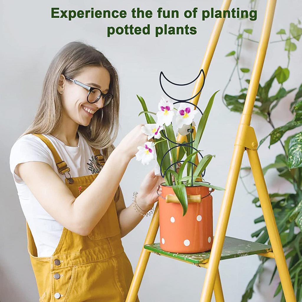 4pcs Geometry Metal Plant Trellis Potted Climbing Plant Starter Tool for Stems Vine Peas Vegetables DIY Training Pole