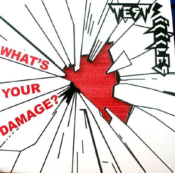 

7inch Record TEST ICICLES Whats Your Damage Single Version RUG217 DOMINO 2006 UK Rock Used