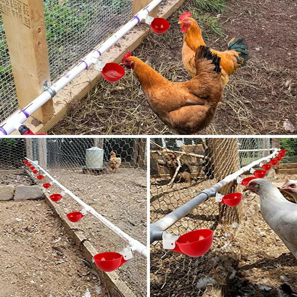 Hrníčky Chicken Waterer 4PCS Automatic Drinker Chicken