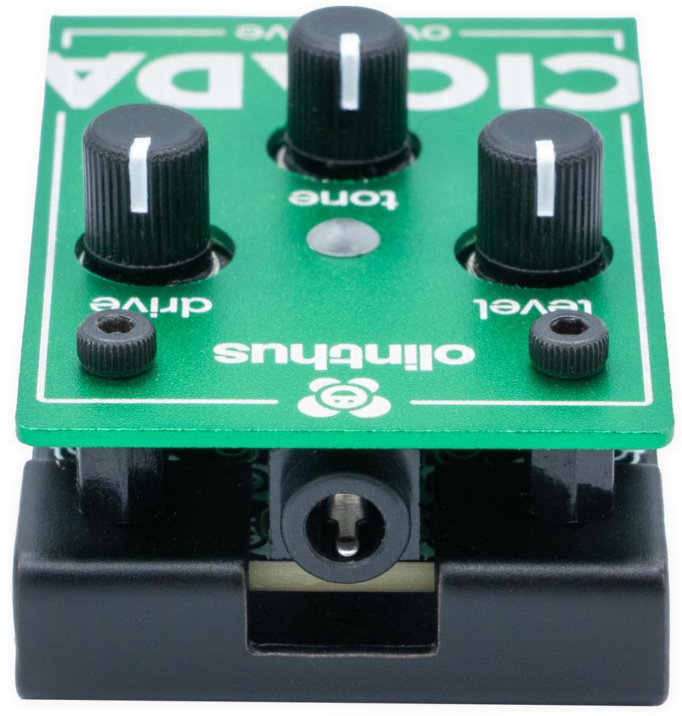 Olinthus Zikaden Overdrive Effektpedal [Inklusive Ein- und Ausgangs-Breakout-Kabeln]