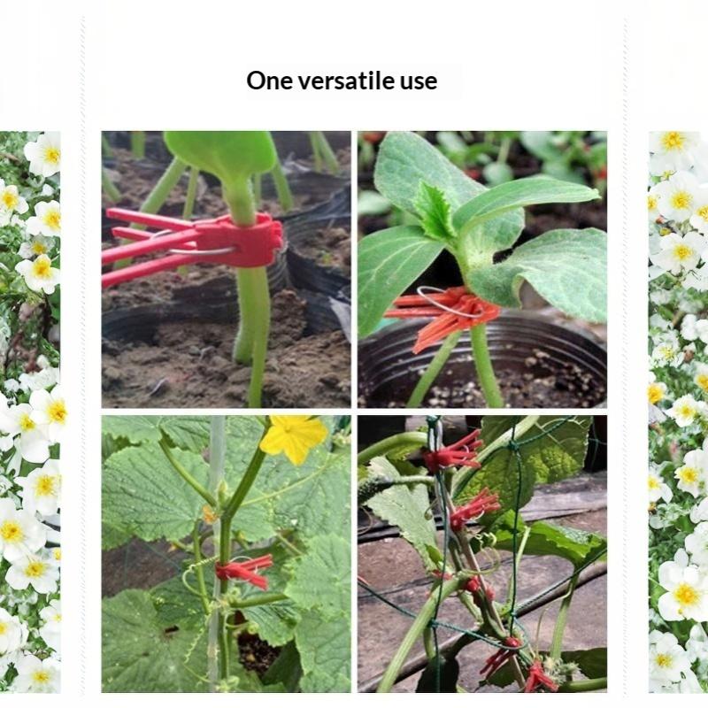 50/100Pcs Plant Grafting Clips Plastic Spring Support Clamp Reusable Fixing Clip For Vegetable Seedling Garden Cultivation
