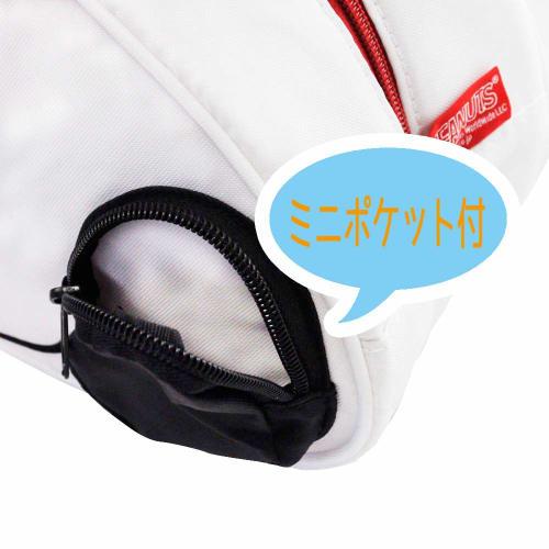 Skater Kids' Die-Cut Lunch Bag with Cooler Pocket, Snoopy and Peanuts Design (KBDL2)