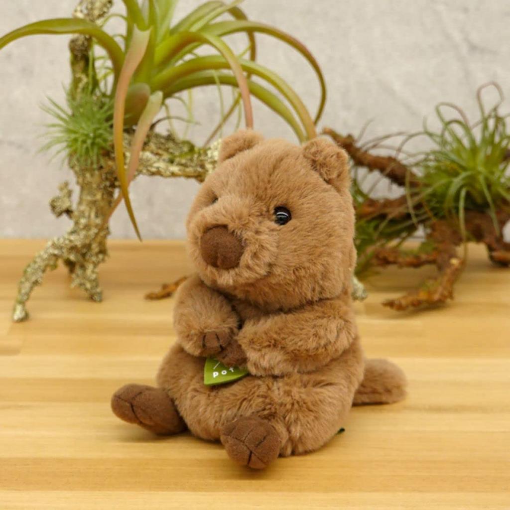 Sun Arrow Potte stuffed animal quokka K-8593