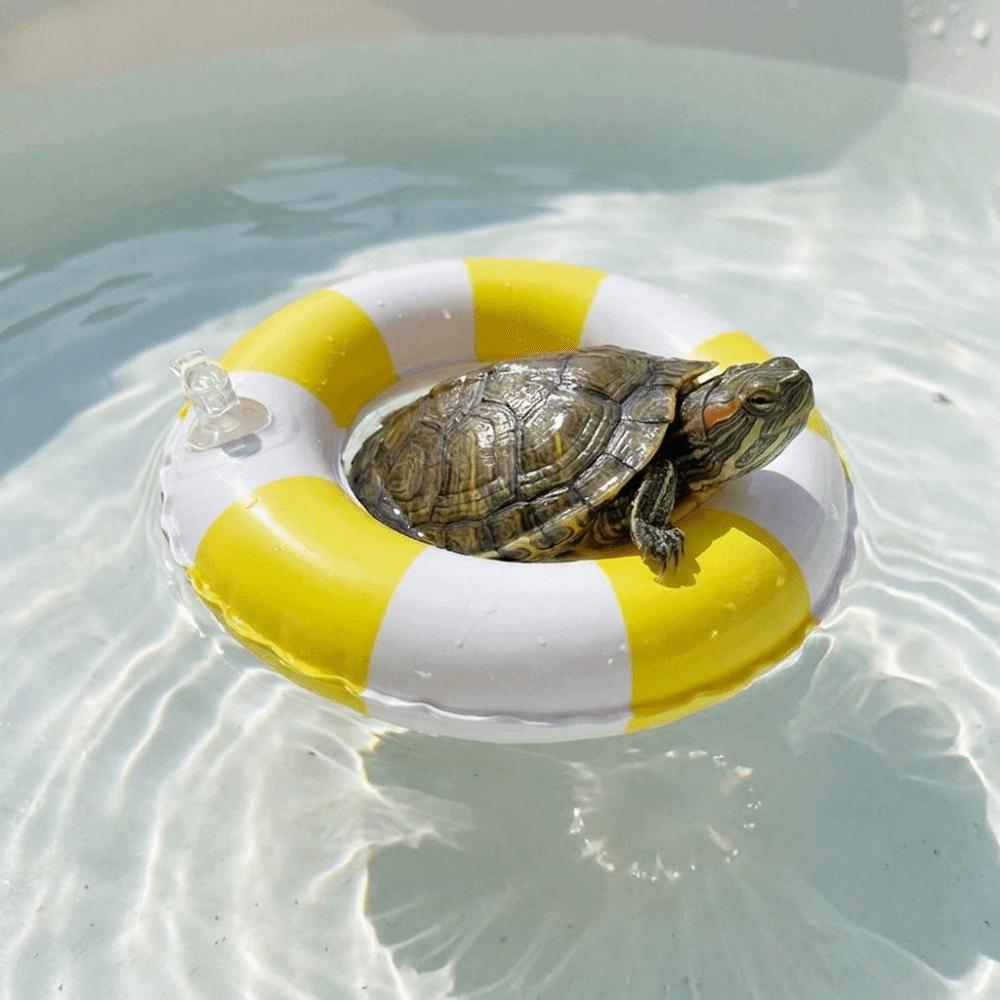 Inflatable Swimming Pool Float Ring Mini Floating Toy Accessories Inflatable Toy  Summer Fun