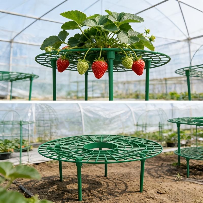5sets High-Quality Strawberry & Small Vegetable Plant Stand/ Bed - Elevated Fruit Production with Harvestable Berries, Space-Saving Design Suitable