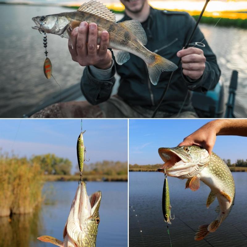 Aluminum Alloy Multifunction Fishing Pliers, Suitable for Anglers Campers Cutting Lines and Hook Removal, Bottle Opening