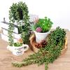 Artificial Plant Vine Plastic Artificial Succulent Hanging Plant For Home Bookshelves Party Wedding