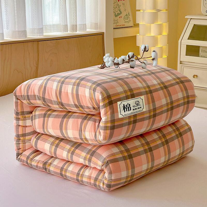 

LISM Soft Xinjiang Cotton Duvet