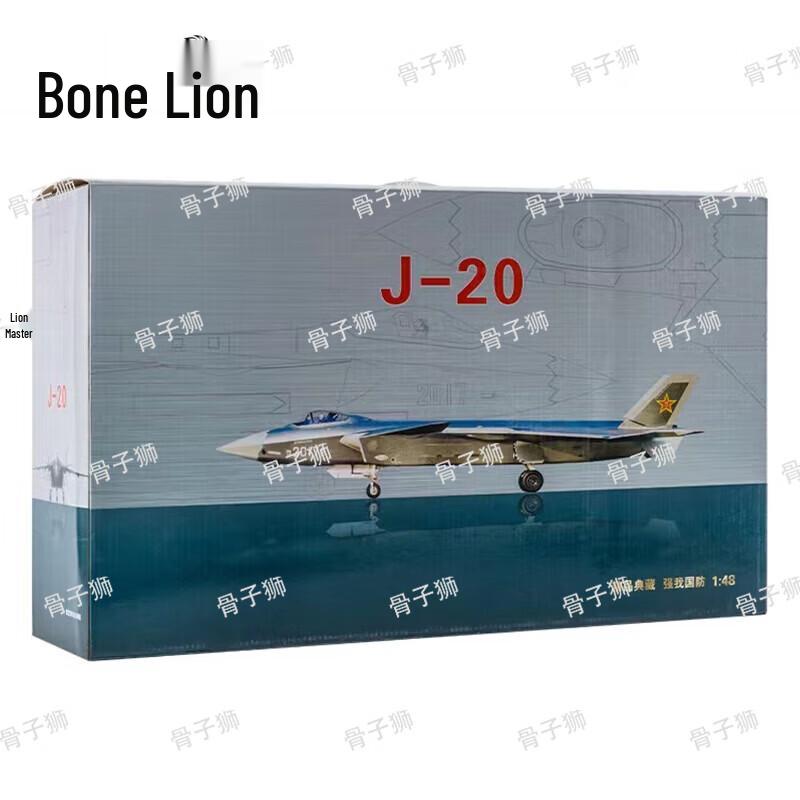 1:48 Scale J-20 Stealth Fighter Aircraft Model