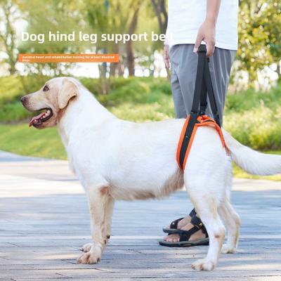 Guinzaglio Regolabile per Cani per Zampe Posteriori, Ausilio per la Camminata per Cani Disabili e Anziani