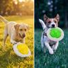 Bite Resilient Dog Flying Disc Squeaky Built-in Interactive Dog Toy Teeth Grinding