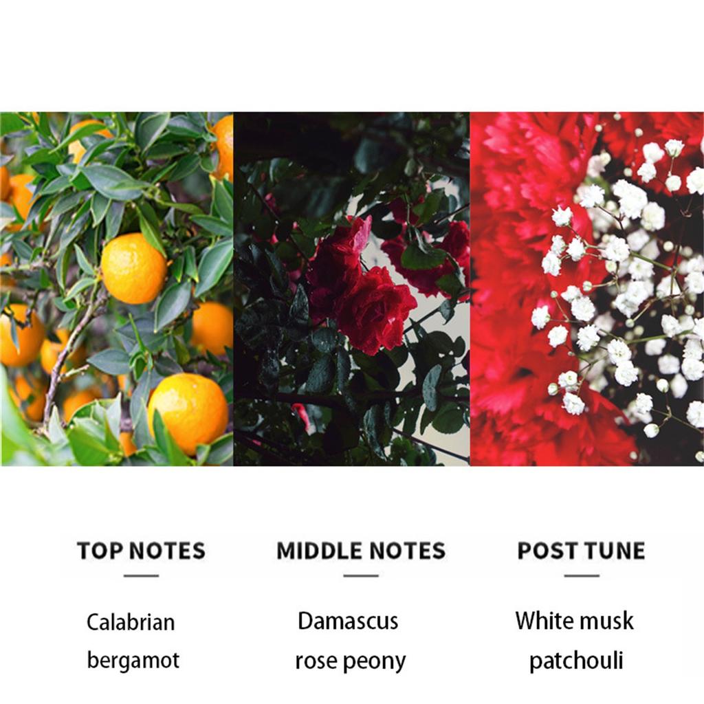 Exotický feromonový parfém pro ženy, parfémy pro muže, parfémy Kolín nad Rýnem, jedinečná vůně, snadno se přenáší, uvolněte své svůdné kouzlo 15 ml