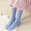 1 Pair Women Sleeping Socks Thickened Warm Fabric Coral Velvet Solid Color Socks Autumn Winter