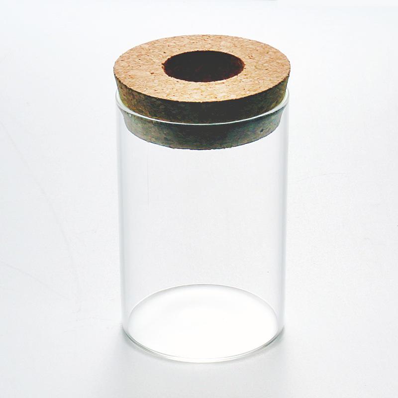 Eco-Bottle High Borosilicate Glass Vase: Hydroponic Plant, Flower Arrangement, Micro-Landscape, Betta Fish Tank Container