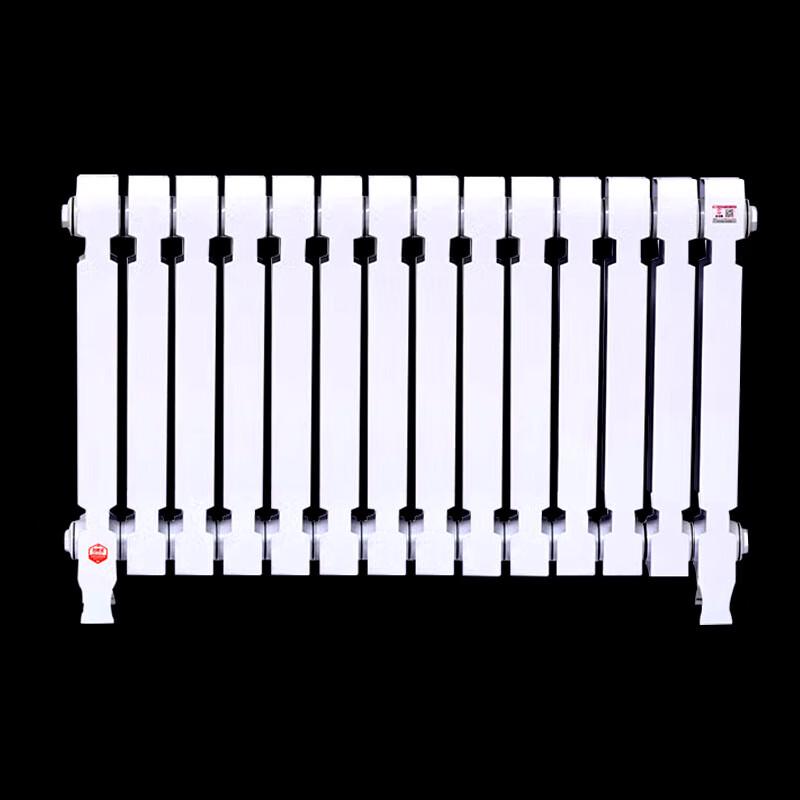 Lixing TZY2-6-8/62B Cast Iron Radiator