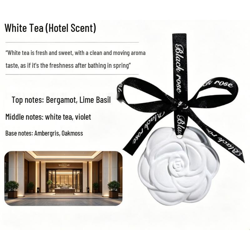 Camellia Wardrobe Aromatherapy Hanging Tablets - Long-Lasting Tea Scent for Odor Removal Standard