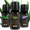 100% Natural Essential Oils - Cold Relief Kit