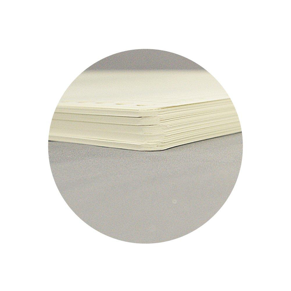 Kokuyo Single Color Loose Leaf 26 100 Ledger, B5, Holes, Sheets, Li-300