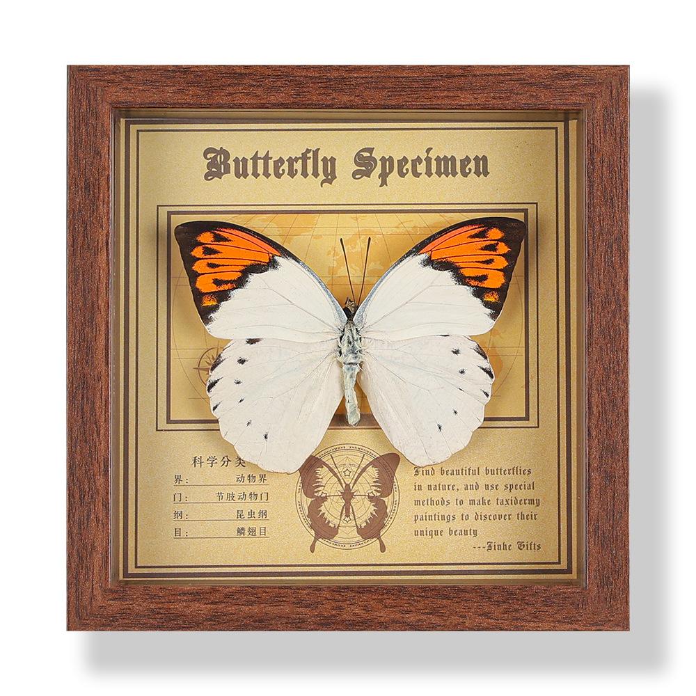 Real butterfly specimen photo frame, decorative painting, 3D ornament, handmade DIY, birthday gift, insect specimen