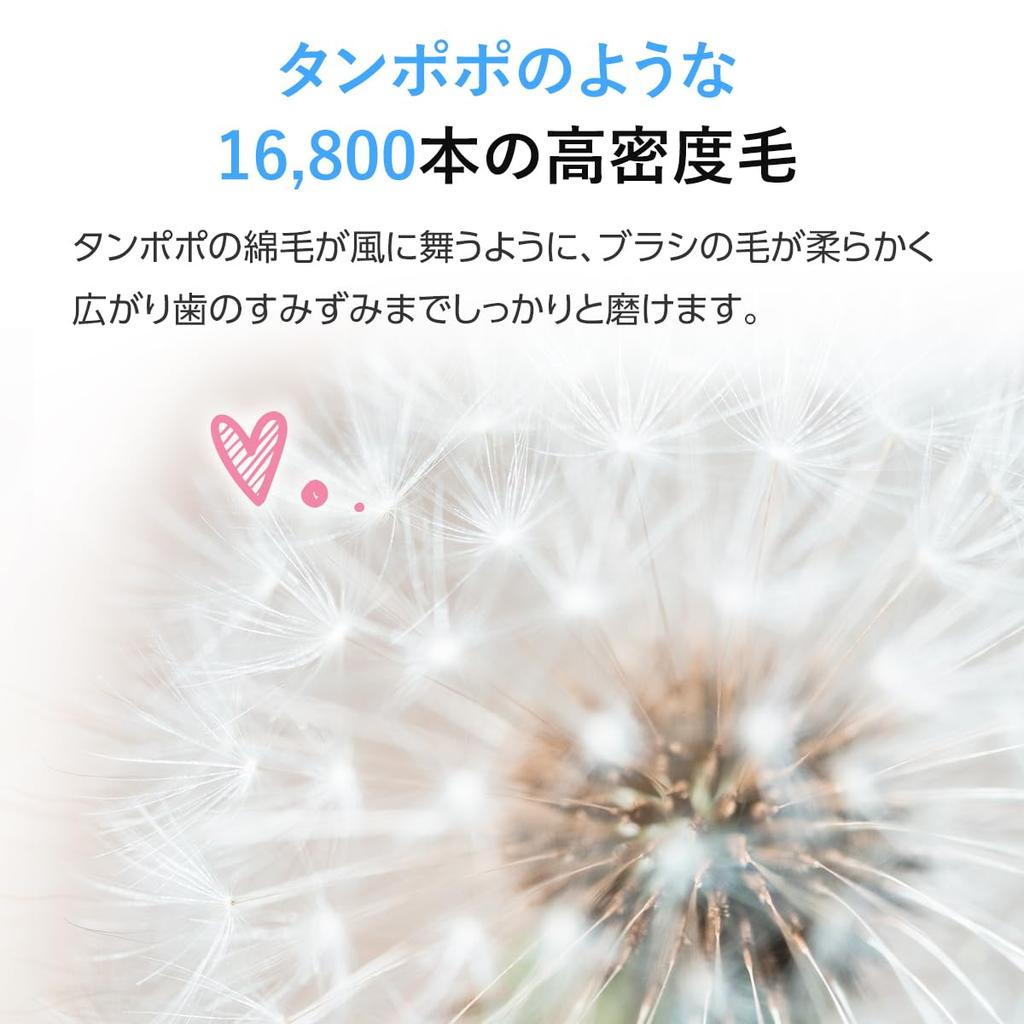 Dandelion Seed 360 Degree Electric Sonic Electric Extra Fine For White Toothbrush, Toothbrush, Toothbrush, Bristles, Adults,