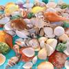 Peixes e animais aquáticos – Decoração de aquário