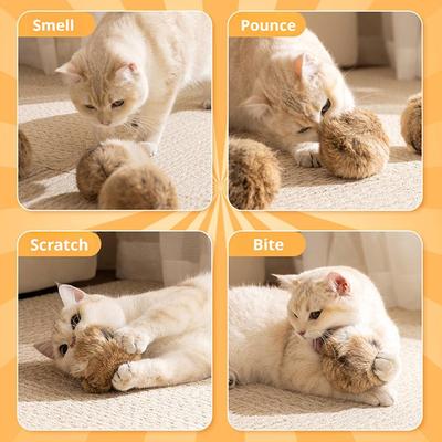 Katzen – Katzenspielzeug