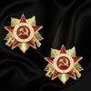 Eleganti e Autentici Design di Spille con Medaglie Sovietiche dell'Ordine della Guerra Patriottica per Feste a Tema e Regali Unici