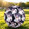 Olivia Rodrigo Size 5 Soccer Ball, Durable Standard Football For Training Match Outdoor Sports