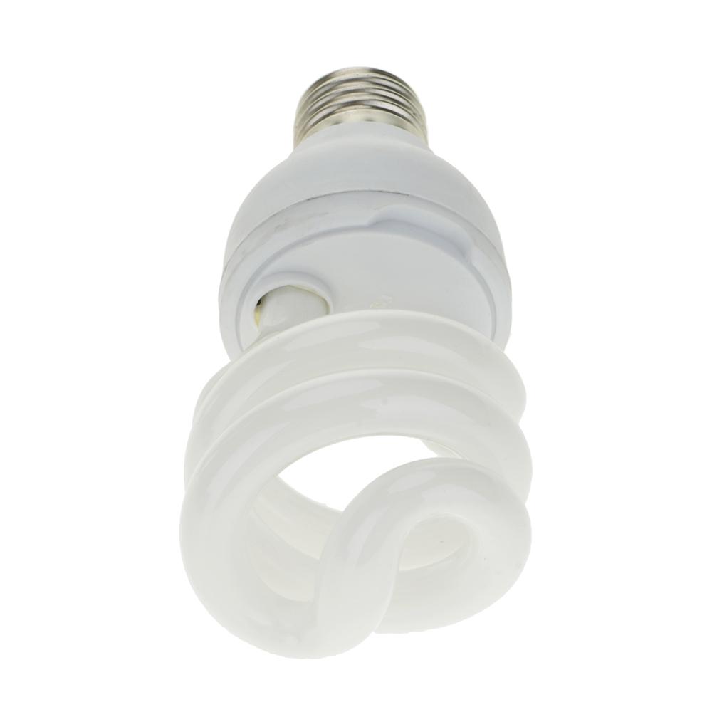 terrarium lamp fitting