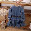 Nouvelle Robe en Denim Tendance pour Petites Filles, Manches Longues Style Coréen, Printemps et Automne, Col Rabattu, Robe en Denim Cintrant la Taille