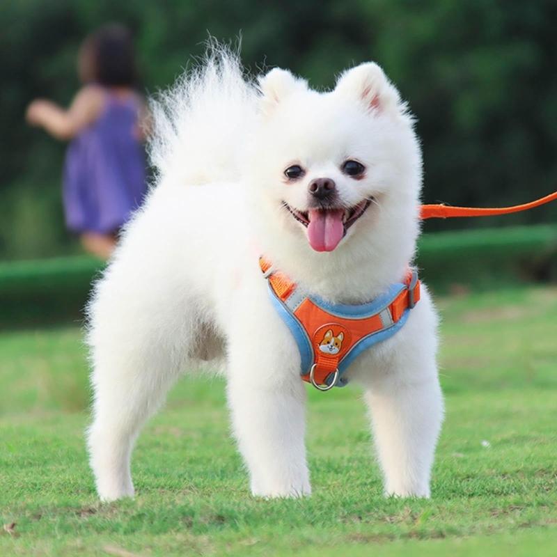 Pet Chest Strap Vest Type Dog Strap Small Dog Rope Outdoor Reflective Breathable Dog Traction Rope Dog Collar Seat Belts